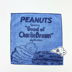 �X�k�[�s�[ Sleeping �~�j�^�I�� �l�C�r�[ ���� SNOOPY