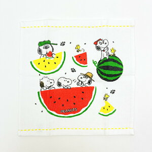 Xk[s[ ӂK[[^I ~j^I XCJ nJ`  SNOOPY