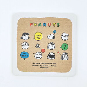 Xk[s[ g[N p^zR[X^[ (gJ[) Lb` SNOOPY