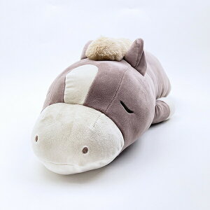 v~A˂ނ˂ z[[ n ʂݕ (L) O[W Ԃ͂ 2026 x