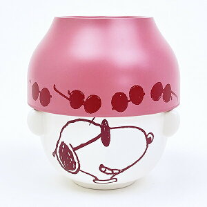 Xk[s[ W[EN[ `oEqZbg bNX^C H { SNOOPY