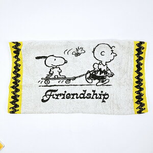 �X�k�[�s�[ �X�P�{�[ �̂т̂уs���[�P�[�X ���J�o�[ SNOOPY