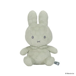 ~btB[ miffy x Little Dutch Flower ʂ(20cm) O[ xr[ oYj
