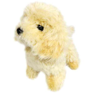 gCv[h S N[  ʂ OCt CeApi 4905330014634 N[ { 