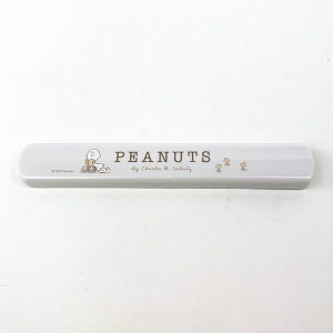 Xk[s[ t^Zbg PEANUTS EVERYDAY zCg  ` ٓ