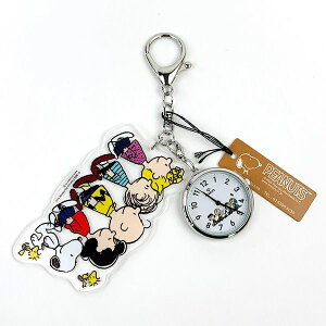 Xk[s[ _CJbg ANL[`F[ EHb` O[v PEANUTS v