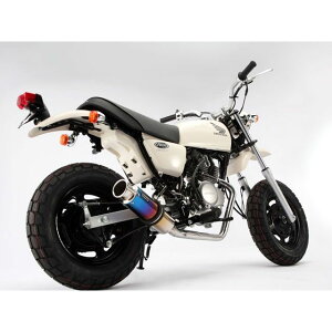 r[X SS300 _E^Cv }t[ APE50 Fi TCT[ `^ B129-09-000