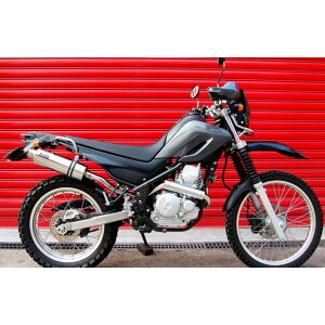 �r�[���X SS300 �A�b�v�^�C�v �t���G�L�]�[�X�g�}�t���[ SEROW250 �T�C�����T�[ �\�j�b�N B216-07-003