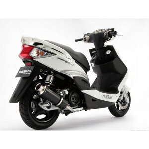 r[X SS300 SPiJMCAFj }t[ VOiX X Fi TCT[ J[{ G220-08-000