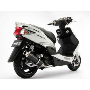 r[X SS300 }t[ VOiX X Fi TCT[ J[{ B220-08-000