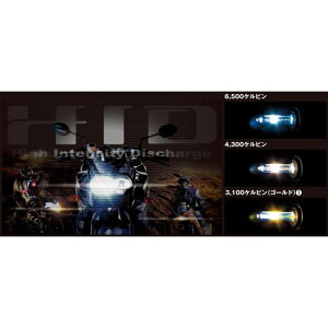 �A�u�\�����[�g HID�w�b�h���C�g�{���g�I���L�b�g �iHI/LO�ؑցjH4DS G650GS SERTAO �F���x 6500K HR2B326