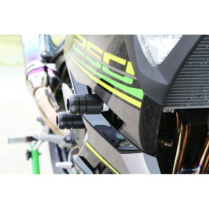 xr[tFCX GWXC_[ Ninja250 006-SK030E