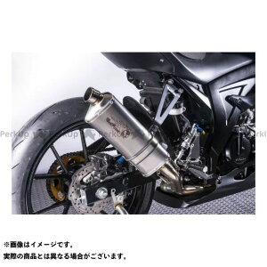EGXgp[ [VO}t[ Ver.2 GSX-R/S125 10-000002