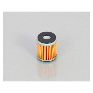 P[sbg ICGgiY-04j 70-390-10040