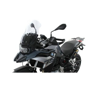 �G���A�[���G�[ �X�N���[�� �c�[�����O�i�N���A�j F750GS F850GS MT768C