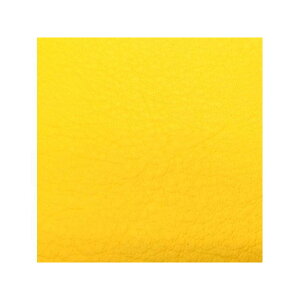 Oh} {V[gJo[/GSX1300R nuTyz1999N`2007N^fV[giAjyCG[ziցj GSX1300R nuTij GH5584SC520
