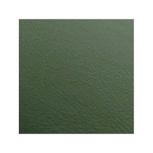 Oh} {V[gJo[/GSX1300R nuTyz1999N`2007N^fV[giAjy_[NO[ziցj GSX1300R nuTij GH5584SC300