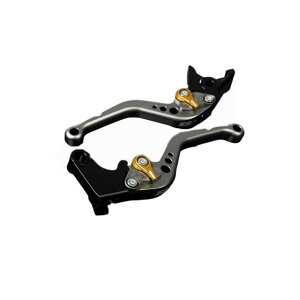 SPEEDRA A~rbgAWXgo[Zbg X^_[hV[gio[{́F}bg`^j VFR1200F AWX^[ }bgS[h LVCM006TM-GD