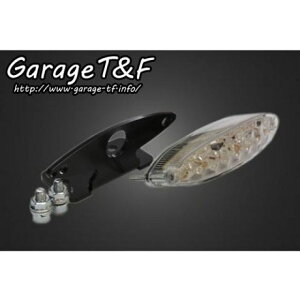 �K���[�WT&F �X���[���X�l�[�N�A�C�e�[�������vLED�i�N���A�[�����Y�j �����t�F���_�[��p �h���b�O�X�^�[250 �EDS250JF09