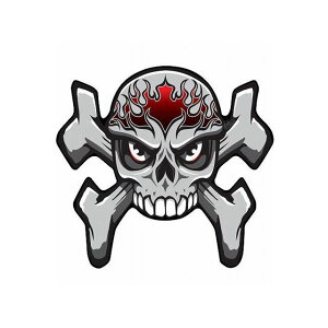 gOtBbNX ^Npbh StreetFighter ėp ^Cv ST029R MT-ST029R