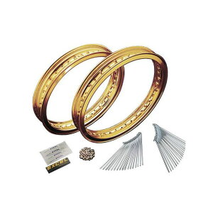 �l�N�T�X 17�C���`�A���~�����X�|�[�N�Z�b�g�i�S�[���h�j 2.50/4.50 SR400/500 RUK-YK09G