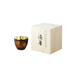  SCW-GK501  2dۂ  SCW-GK501