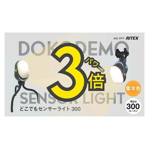 TV ǂłZT[Cg300 ASL-097