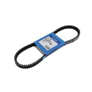 y[J[zs[Gts[ PFV17-790 JOGZ PFV17790