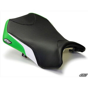 Cg tg V[gJo[ Team Kawasaki Ninja 250R LM-3012101