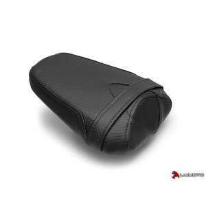 Cg A V[gJo[ Baseline GSX-R1000 LM-4221203