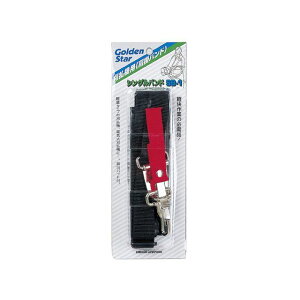 �L���{�V GS ��700050 ���|�o���h �V���O��SB-1 #700050