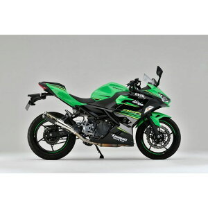 I[o[[VO GP-PERFORMANCE XL Type-S XbvI Ninja250 E17-693-06