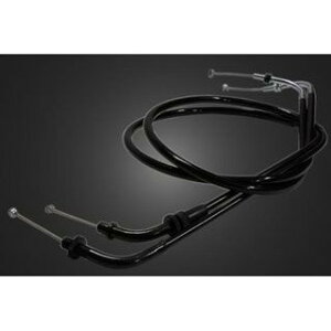 �K���[�WT&F �A�N�Z�����C���[ 20cm�����O�iAC-10�j �r���[�S250 �EXV250WR01