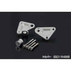 �s�[�G���V�[ �G���W���}�E���g�L�b�g Z1000R �� 74-3202