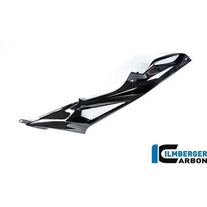 �C�����o�[�K�[ �T�C�h�J�o�[ �E�� �^���N �J�[�{�� BMW S1000R 2014- �b SDR.205.S100N.K S 1000 R S 1000 RR Strasse ilm_SDR_205_S100N_K