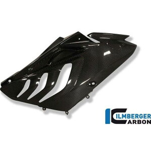 �C�����o�[�K�[ �t�F�A�����O�T�C�h�p�l�� �E�� Carbon �b VER.002.S1CSI.K S 1000 RR Strasse ilm_VER_002_S1CSI_K