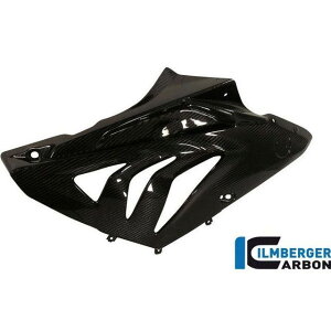 �C�����o�[�K�[ �t�F�A�����O�T�C�h�p�l���i�E�j S 1000 RR Street �i12-�j �b VER.102.S100S.K HP4 S 1000 RR Strasse ilm_VER_102_S100S_K