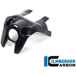 �C�����o�[�K�[ �C�O�j�b�V�����X�C�b�`�J�o�[ �O���X �b ZSA.004.DM17G.K Monster 1200 Monster 1200 S ilm_ZSA_004_DM17G_K