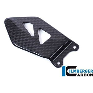 �C�����o�[�K�[ �q�[���v���e�N�^�[ �E �J�[�{�� - Suzuki GSX R 1000 2017- �b FSR.015.GXR16.K GSX-R 1000 / R ilm_FSR_015_GXR16_K