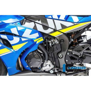 �C�����o�[�K�[ �t���[���J�o�[ ���� - Suzuki GSX R 1000 2017- �b RAL.012.GXR16.K GSX-R 1000 / R ilm_RAL_012_GXR16_K