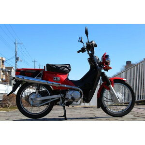 zbgbv Abv}t[ q[gK[hp NXJuiJA10j {F NXJu J-CC-UP