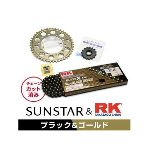 �Z�b�g���i KR47614 �T���X�^�[ �X�v���P�b�g��RK�`�F�[���L�b�g�i�u���b�N�j SV1000�i�����j KR47614