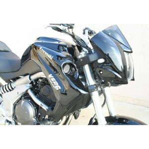 S2�R���Z�v�g Radiator Scoops VERSYS raw �b K674.000 VERSYS s2_K674_000-raw