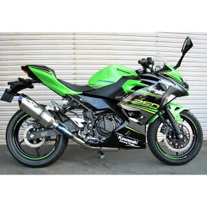 r[gWp NASSERT Evolution Type II tGL][Xg}t[i^ubNj Ninja250 0227-KE5-MB