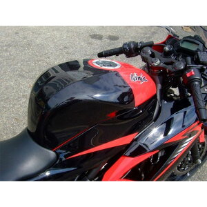 vW[ ^NI[oJo[ Ninja250SL PK32400