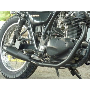 Au 250TRptGL}t[TYPE1 250TR anbu-276