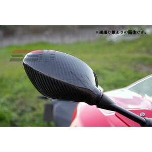 SPEEDRA �~���[�J�o�[ ���E�Z�b�g �h���C�J�[�{�� HP4 S1000RR �J���[ ���D�艐���� CBM0609TG