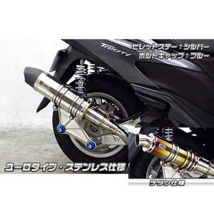 ウイルズウィン トリシティ125用 アニバーサリーマフラー ユーロタイプ チタン仕様 トリシティ125 ビレットステー シルバー ボルトキャップ ゴールド オプション なし