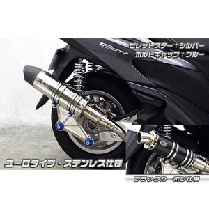 ウイルズウィン トリシティ125用 アニバーサリーマフラー ユーロタイプ ブラックカーボン仕様 トリシティ125 ビレットステー シルバー ボルトキャップ レッド オプション なし