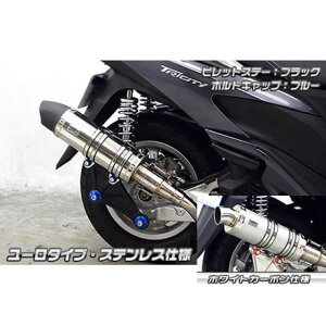 ECYEB gVeB125p Ajo[T[}t[ [^Cv zCgJ[{dl gVeB125 rbgXe[ ubN {gLbv Vo[ IvV IvVB